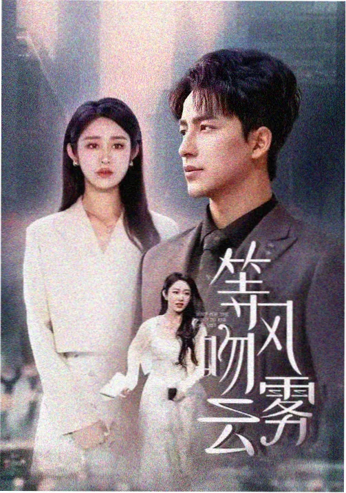 雾港回声电视剧在线观看